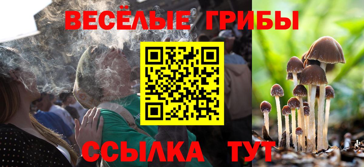 Псилоцибиновые грибы MAGIC MUSHROOMS Карпинск
