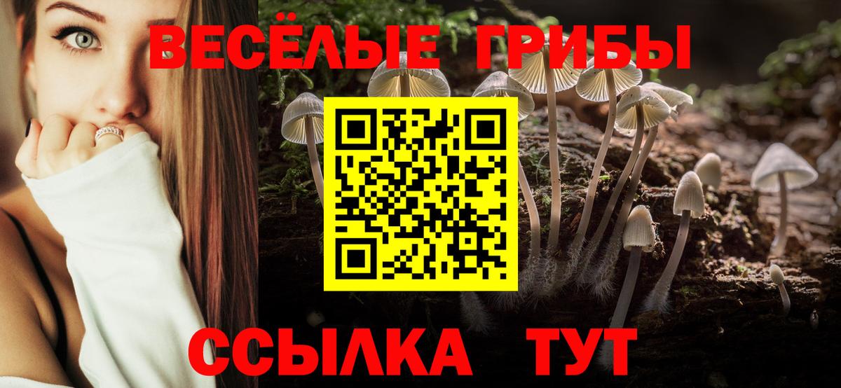 Галлюциногенные грибы прущие грибы  Вход с VPN  Карпинск 