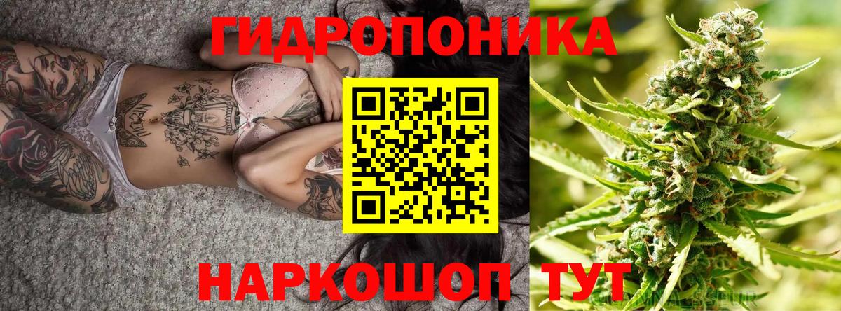 МАРИХУАНА гибрид  Вход с VPN  Карпинск  Бошки марихуана марихуана 